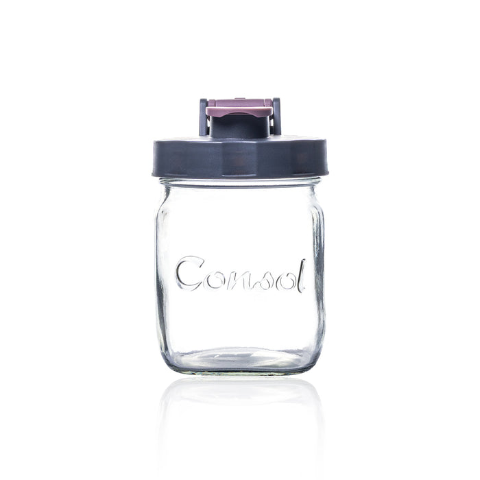Consol Glass preserve Jar with Plum Flip Top Lid 500ml